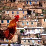روستاها