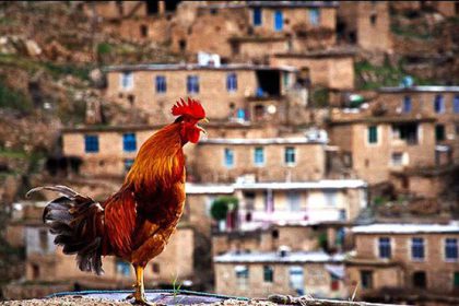 روستاها